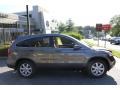 2009 Urban Titanium Metallic Honda CR-V EX-L 4WD  photo #3