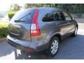 2009 Urban Titanium Metallic Honda CR-V EX-L 4WD  photo #4