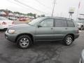 Oasis Green Pearl - Highlander V6 4WD Photo No. 4