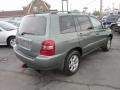 Oasis Green Pearl - Highlander V6 4WD Photo No. 7