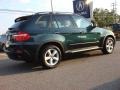 2007 Deep Green Metallic BMW X5 3.0si  photo #4