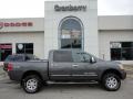Smoke Gray 2005 Nissan Titan LE Crew Cab 4x4