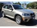 Platinum Bronze Metallic - X5 xDrive 35i Photo No. 3