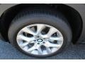 Platinum Bronze Metallic - X5 xDrive 35i Photo No. 33