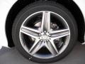 2012 Mercedes-Benz R 350 4Matic Wheel and Tire Photo