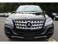 Black - ML 350 4Matic Photo No. 2