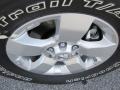 Radiant Silver Metallic - Frontier SV Crew Cab Photo No. 9