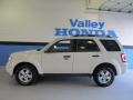 2009 White Suede Ford Escape XLT 4WD  photo #2