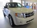 2009 White Suede Ford Escape XLT 4WD  photo #4