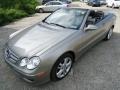 Pewter Metallic - CLK 350 Cabriolet Photo No. 2