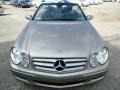 Pewter Metallic - CLK 350 Cabriolet Photo No. 3