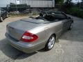 Pewter Metallic - CLK 350 Cabriolet Photo No. 8