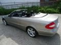 Pewter Metallic - CLK 350 Cabriolet Photo No. 10