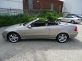 Pewter Metallic - CLK 350 Cabriolet Photo No. 11