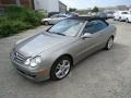Pewter Metallic - CLK 350 Cabriolet Photo No. 50