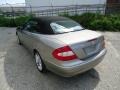 Pewter Metallic - CLK 350 Cabriolet Photo No. 52