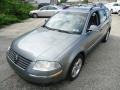 Stonehenge Grey Metallic - Passat GLX 4Motion Wagon Photo No. 2