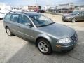 Stonehenge Grey Metallic - Passat GLX 4Motion Wagon Photo No. 4