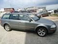 Stonehenge Grey Metallic - Passat GLX 4Motion Wagon Photo No. 6