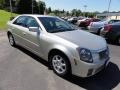 Light Platinum - CTS Sedan Photo No. 4