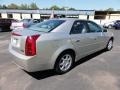 Light Platinum - CTS Sedan Photo No. 8