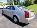 Light Platinum - CTS Sedan Photo No. 10