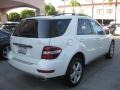 Arctic White - ML 350 4Matic Photo No. 2