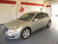 Liquid Silver Metallic - Maxima 3.5 SE Photo No. 1