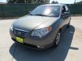 Natural Khaki - Elantra GLS Photo No. 7