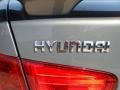 Natural Khaki - Elantra GLS Photo No. 24
