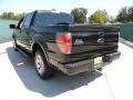 2010 Tuxedo Black Ford F150 FX2 SuperCrew  photo #5