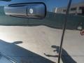 2009 Brilliant Black Crystal Pearl Dodge Ram 1500 ST Quad Cab  photo #21