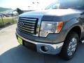 2011 Sterling Grey Metallic Ford F150 Texas Edition SuperCrew  photo #10