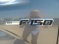 2011 Sterling Grey Metallic Ford F150 Texas Edition SuperCrew  photo #13
