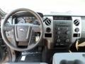 2011 Sterling Grey Metallic Ford F150 Texas Edition SuperCrew  photo #28