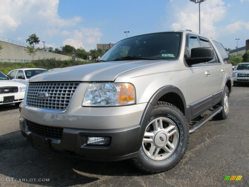 2004 Expedition XLT 4x4 - Silver Birch Metallic / Medium Flint Gray photo #1