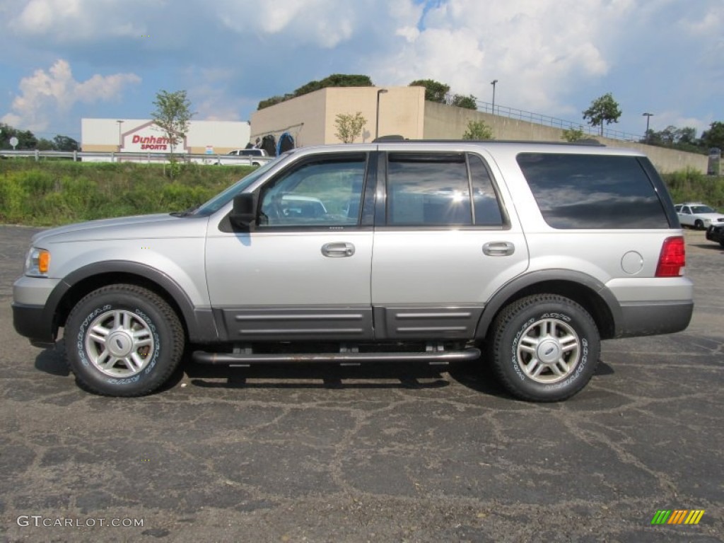 Silver Birch Metallic 2004 Ford Expedition XLT 4x4 Exterior Photo #53941478