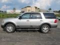 Silver Birch Metallic 2004 Ford Expedition XLT 4x4 Exterior