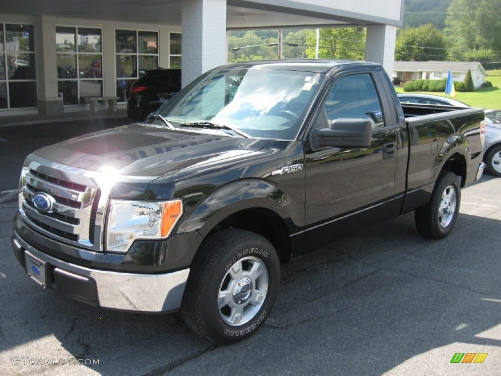 2010 F150 XLT Regular Cab - Tuxedo Black / Medium Stone photo #2
