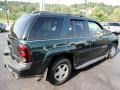 2003 Dark Green Metallic Chevrolet TrailBlazer LT 4x4  photo #5