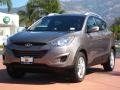 2012 Chai Bronze Hyundai Tucson GLS  photo #1