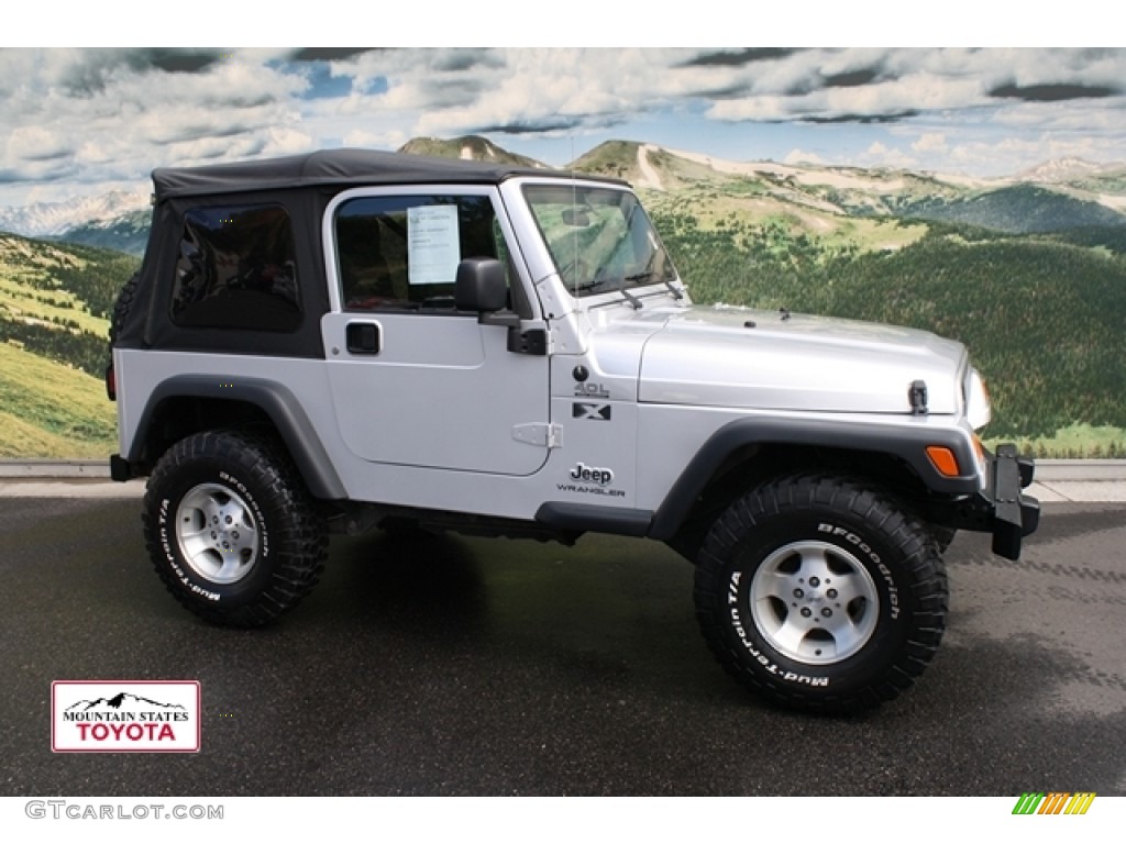 2004 Wrangler X 4x4 - Bright Silver Metallic / Dark Slate Gray photo #1