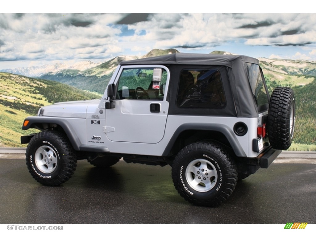 2004 Wrangler X 4x4 - Bright Silver Metallic / Dark Slate Gray photo #2