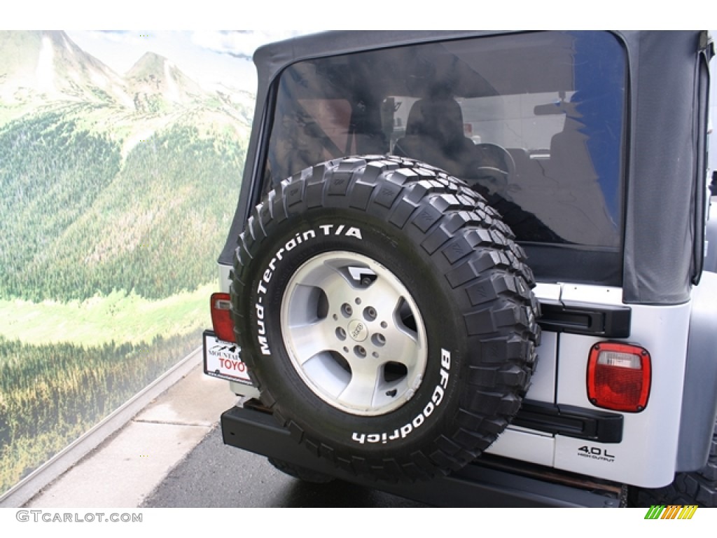 2004 Wrangler X 4x4 - Bright Silver Metallic / Dark Slate Gray photo #19