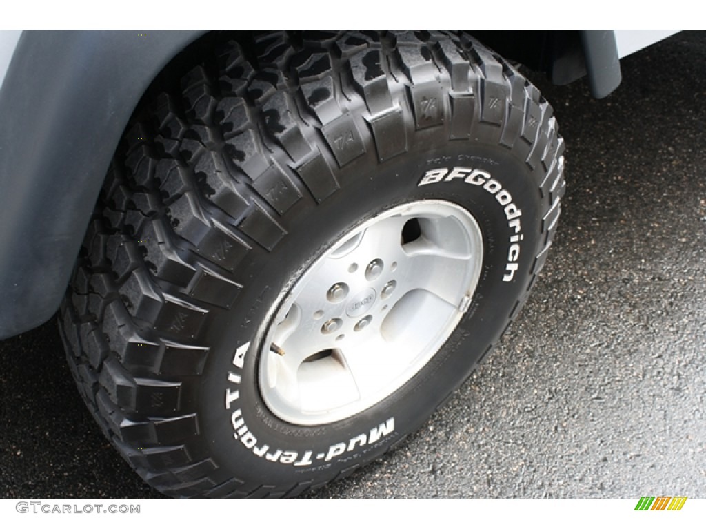 2004 Wrangler X 4x4 - Bright Silver Metallic / Dark Slate Gray photo #20