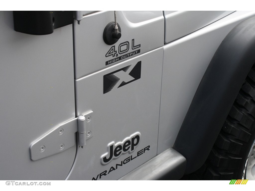 2004 Wrangler X 4x4 - Bright Silver Metallic / Dark Slate Gray photo #21