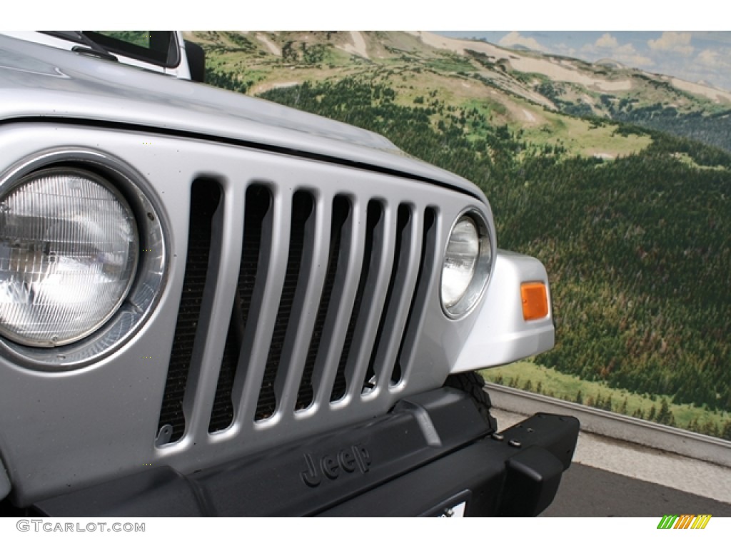 2004 Wrangler X 4x4 - Bright Silver Metallic / Dark Slate Gray photo #22