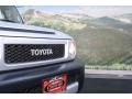 Titanium Metallic - FJ Cruiser 4WD Photo No. 23