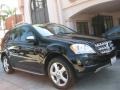 Black - ML 350 4Matic Photo No. 1