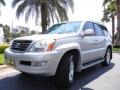 Silver Pine Metallic 2003 Lexus GX 470 Exterior